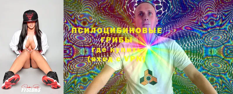 Псилоцибиновые грибы Cubensis  дарнет шоп  Нерехта 