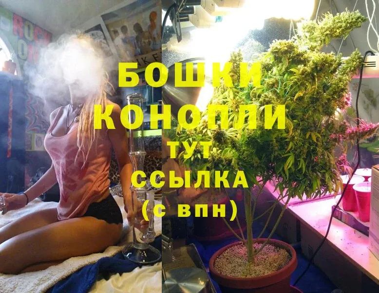 Каннабис SATIVA & INDICA  Нерехта 